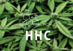 Looking to Move Up in the Cannabinoid World? Try Seeing What HHC Can Offer!