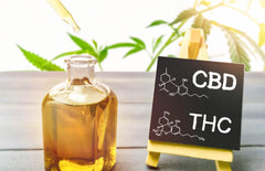 What are the Key Differences Between CBD and Delta 9 THC?