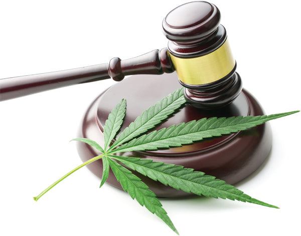 Is CBD legal? A lawyer's take on hemp product safety