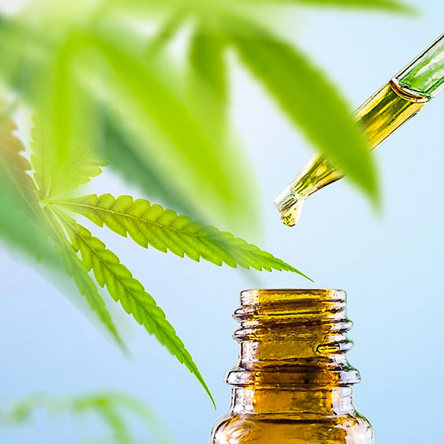 Whole-spectrum Hemp Extract And Cbd Oil 